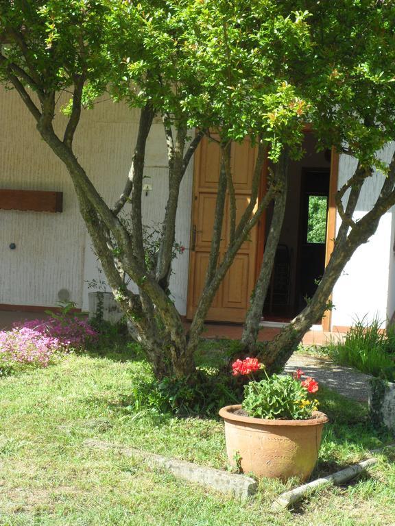 B&B Cuei Di Baret Tricesimo Exterior photo